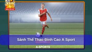 A Sport – Sảnh Cá Cược Thể Thao Uy Tín Hấp Dẫn Tại Nhatvip