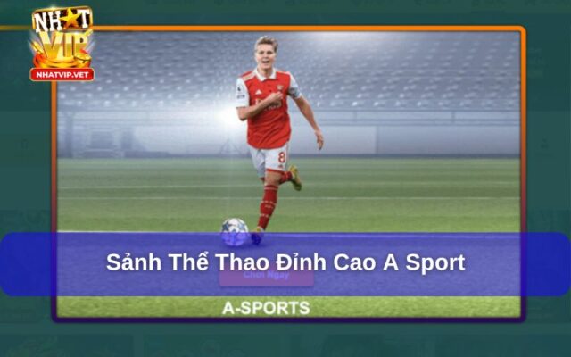 A Sport – Sảnh Cá Cược Thể Thao Uy Tín Hấp Dẫn Tại Nhatvip