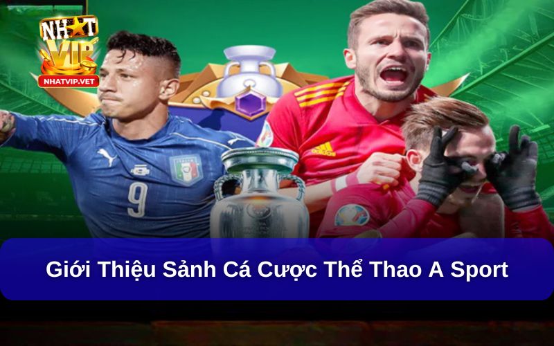 Giới thiệu sảnh cá cược thể thao A Sport