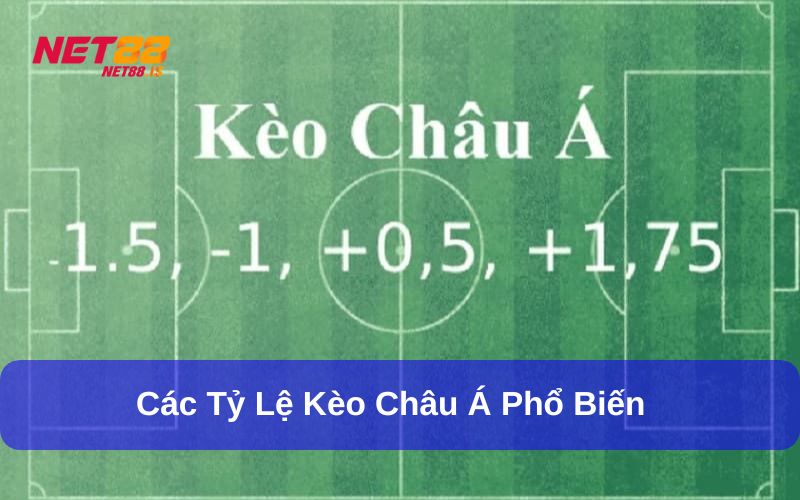 Các tỷ lệ Kèo Châu Á phổ biến